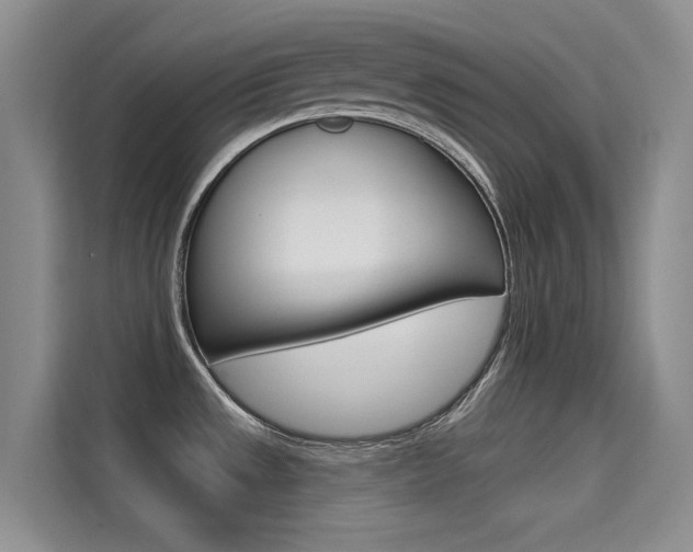 X0000114731533200910211052