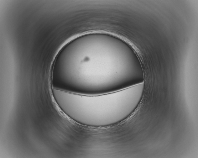 X0000114731534200910211052