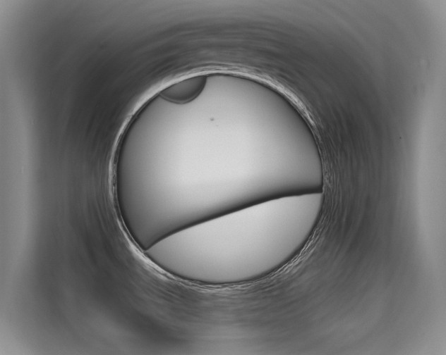 X0000114731535200910211053