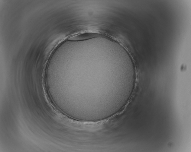 X0000114730001200911121805