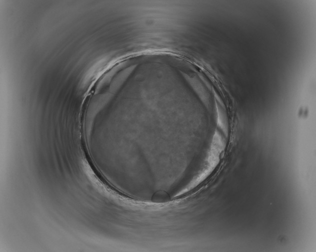 X0000114730002200911121805