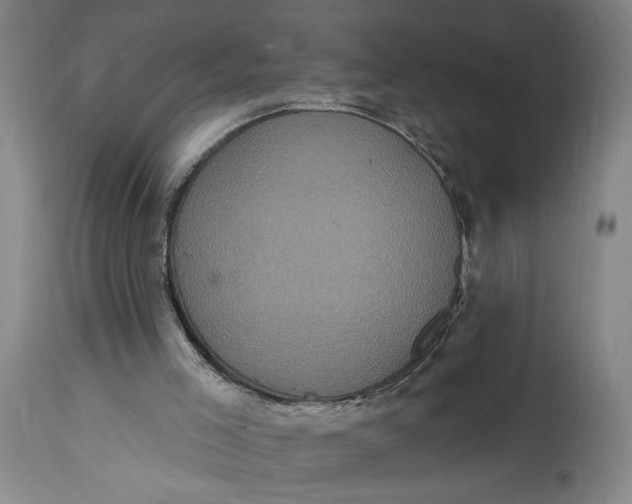 X0000114730005200911121805