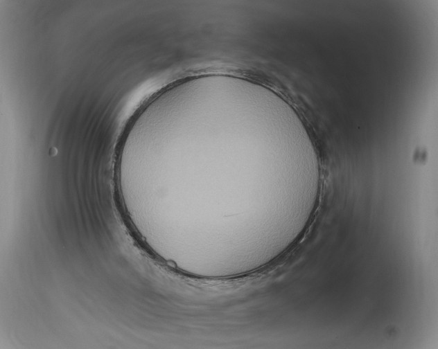 X0000114730006200911121805