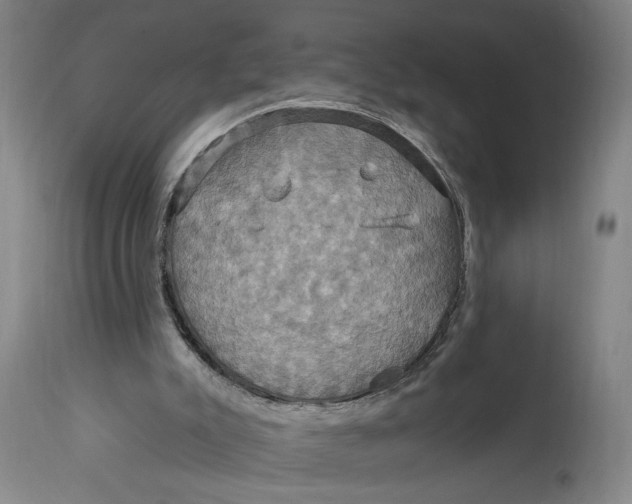 X0000114730007200911121805