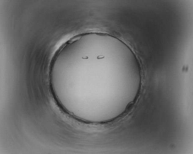 X0000114730008200911121805