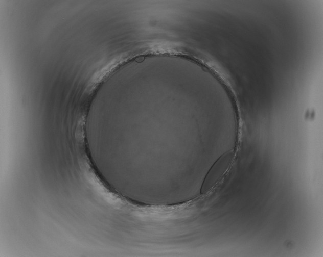 X0000114730009200911121805