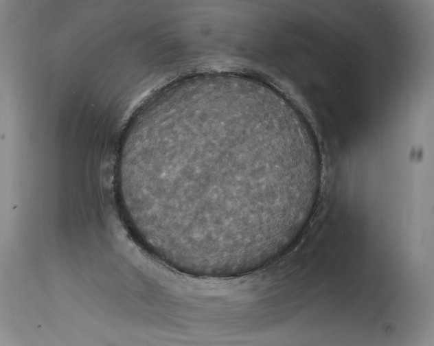 X0000114730010200911121805