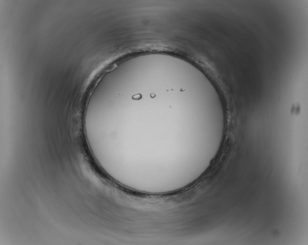 X0000114730012200911121805