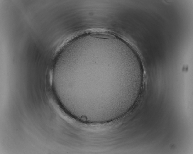 X0000114730013200911121805