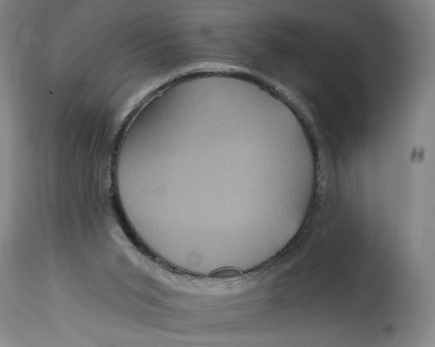 X0000114730015200911121805