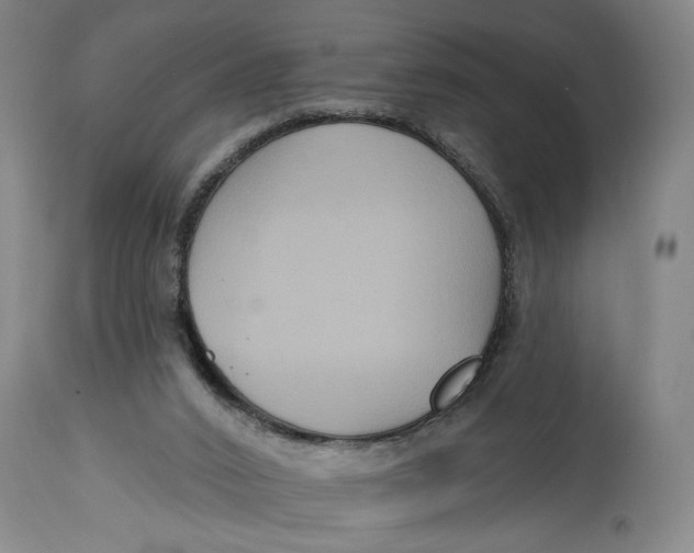 X0000114730016200911121805