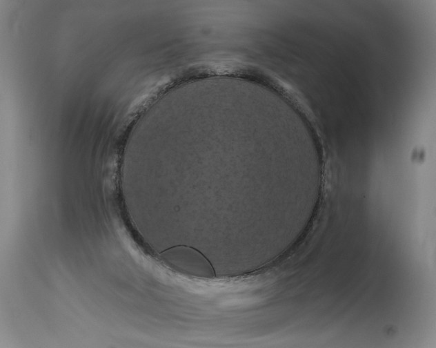 X0000114730018200911121805