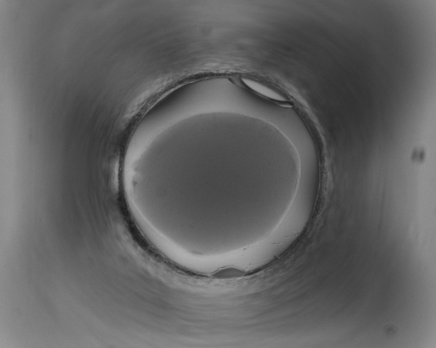 X0000114730019200911121805