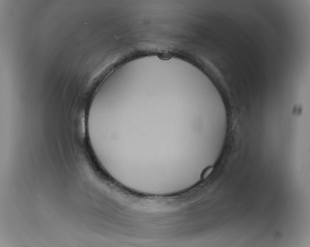 X0000114730020200911121805