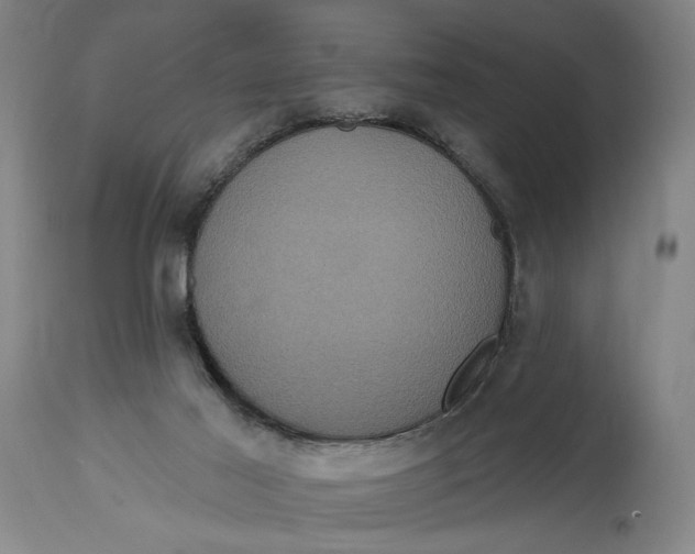 X0000114730021200911121805