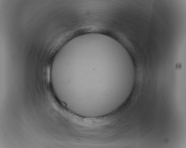 X0000114730022200911121805