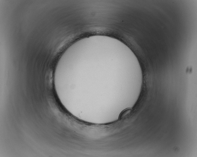 X0000114730024200911121805