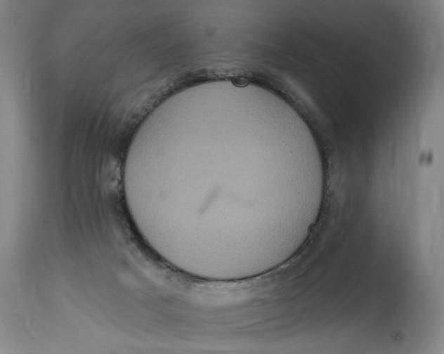 X0000114730025200911121805