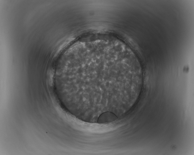 X0000114730026200911121805