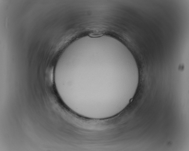 X0000114730028200911121805