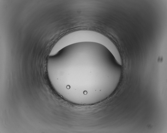 X0000114730029200911121805