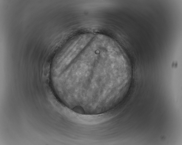 X0000114730030200911121805