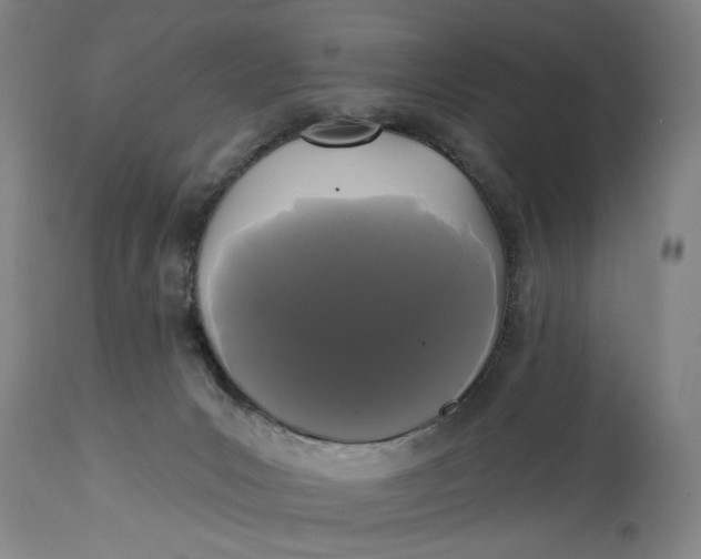 X0000114730031200911121805