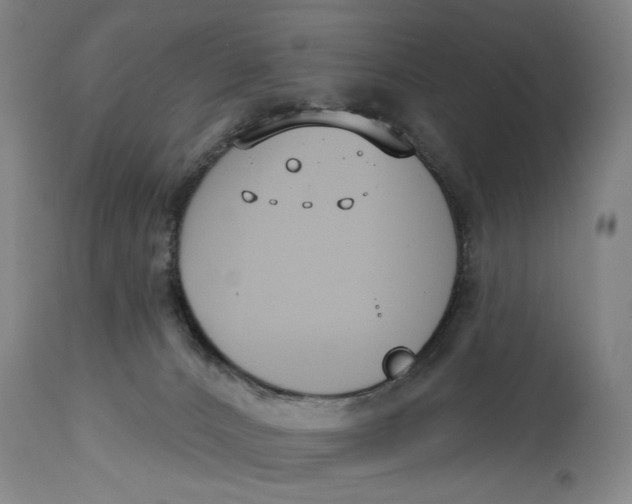 X0000114730032200911121805