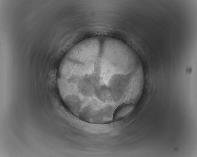 X0000114730034200911121805