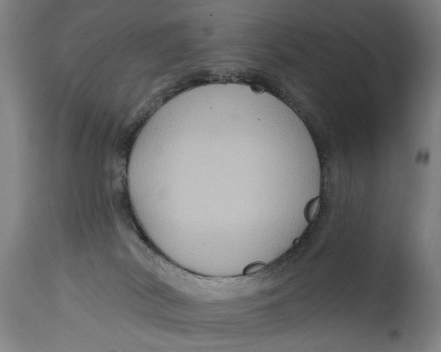 X0000114730038200911121805