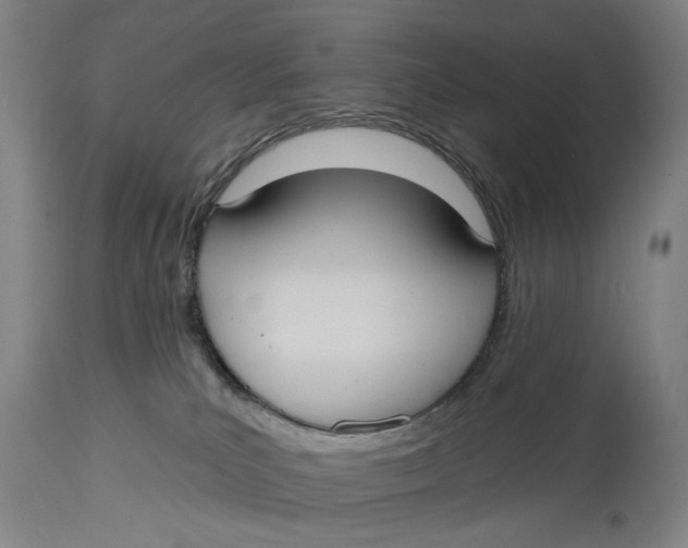 X0000114730039200911121805