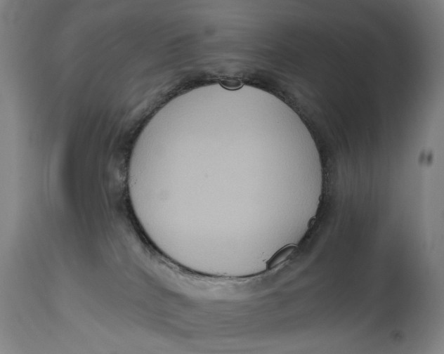 X0000114730040200911121805