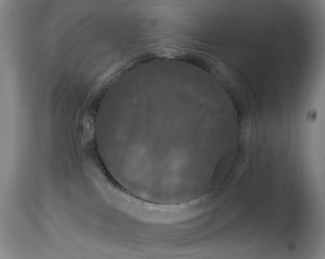 X0000114730043200911121805