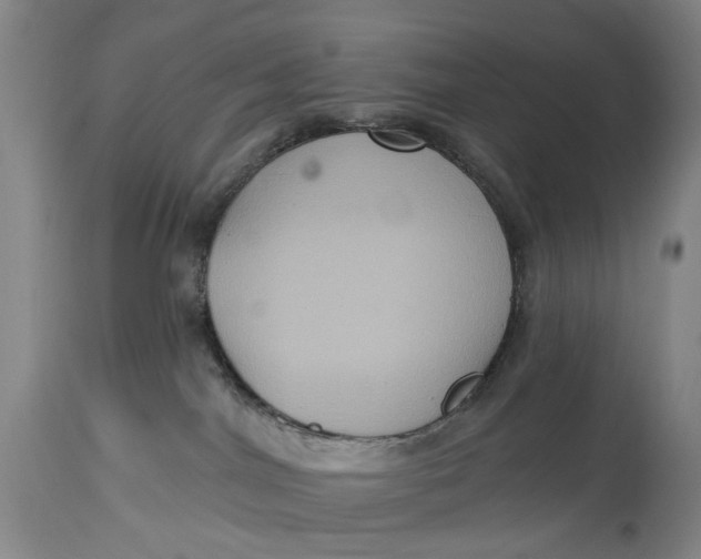 X0000114730044200911121805