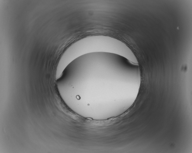 X0000114730045200911121805