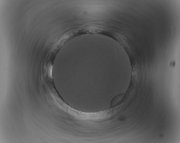 X0000114730046200911121805