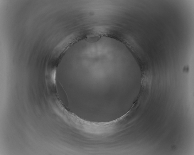 X0000114730047200911121805