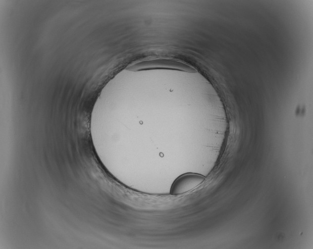 X0000114730048200911121805