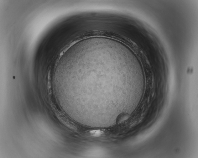 X0000114730050200911121804