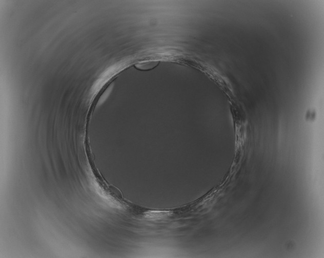 X0000114730051200911121804