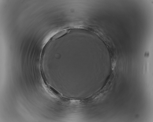 X0000114730052200911121804