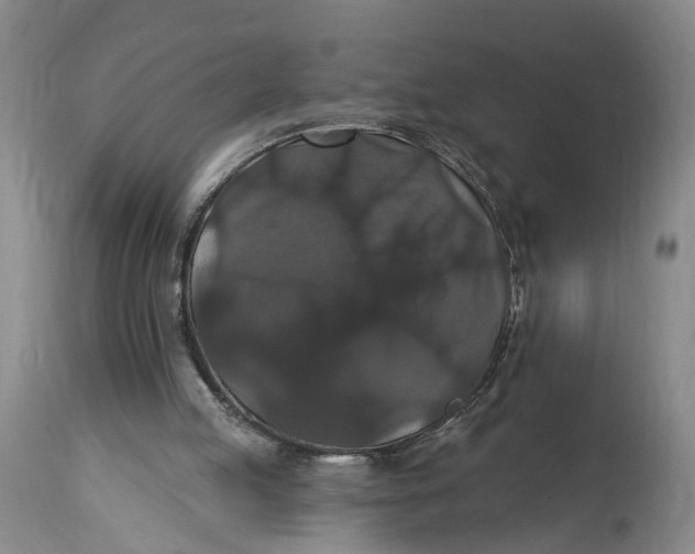 X0000114730053200911121804