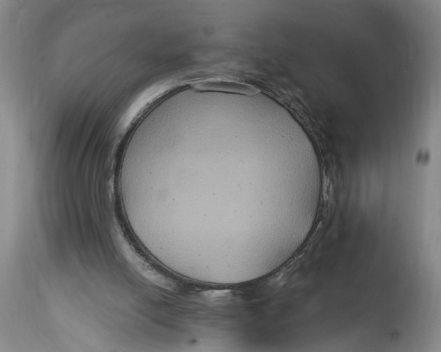 X0000114730054200911121804