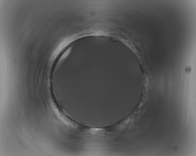 X0000114730055200911121804