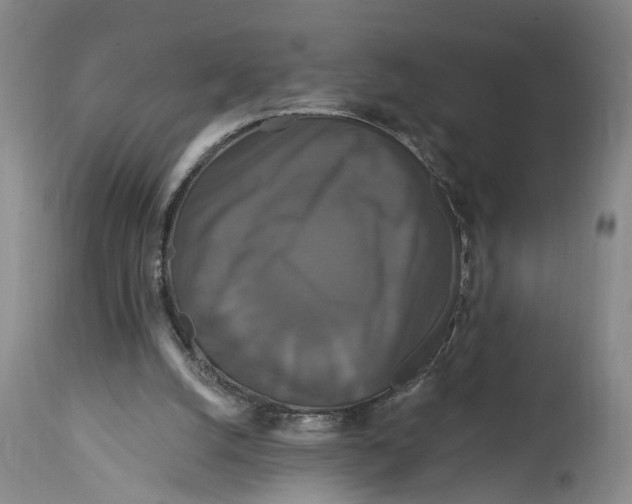 X0000114730056200911121804