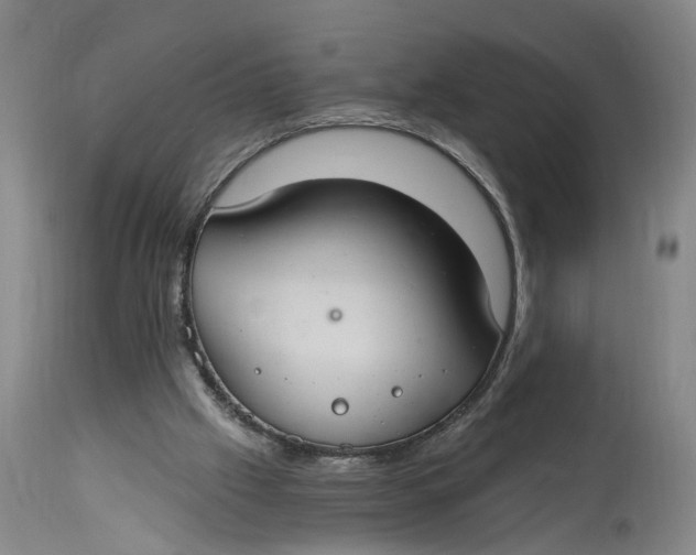 X0000114730057200911121804