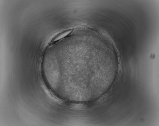 X0000114730058200911121804