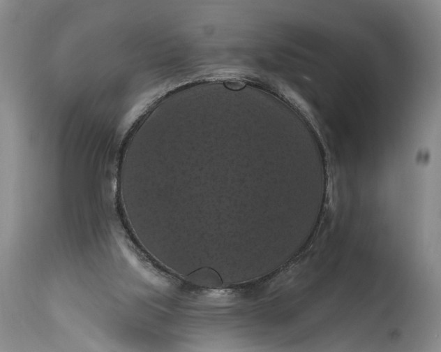 X0000114730059200911121804