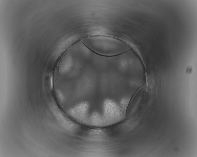 X0000114730061200911121804