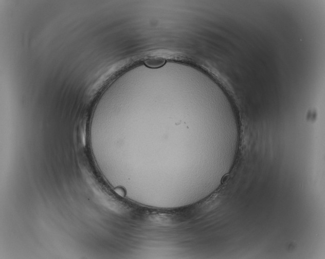 X0000114730062200911121804